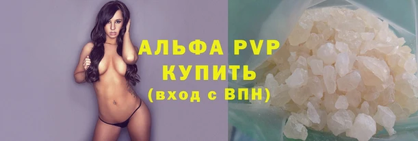 стафф Дегтярск