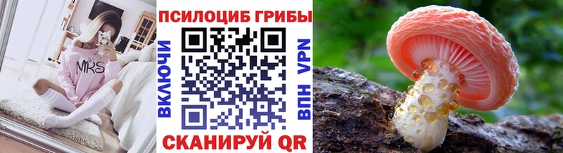 Псилоцибиновые грибы Psilocybe  Тотьма 